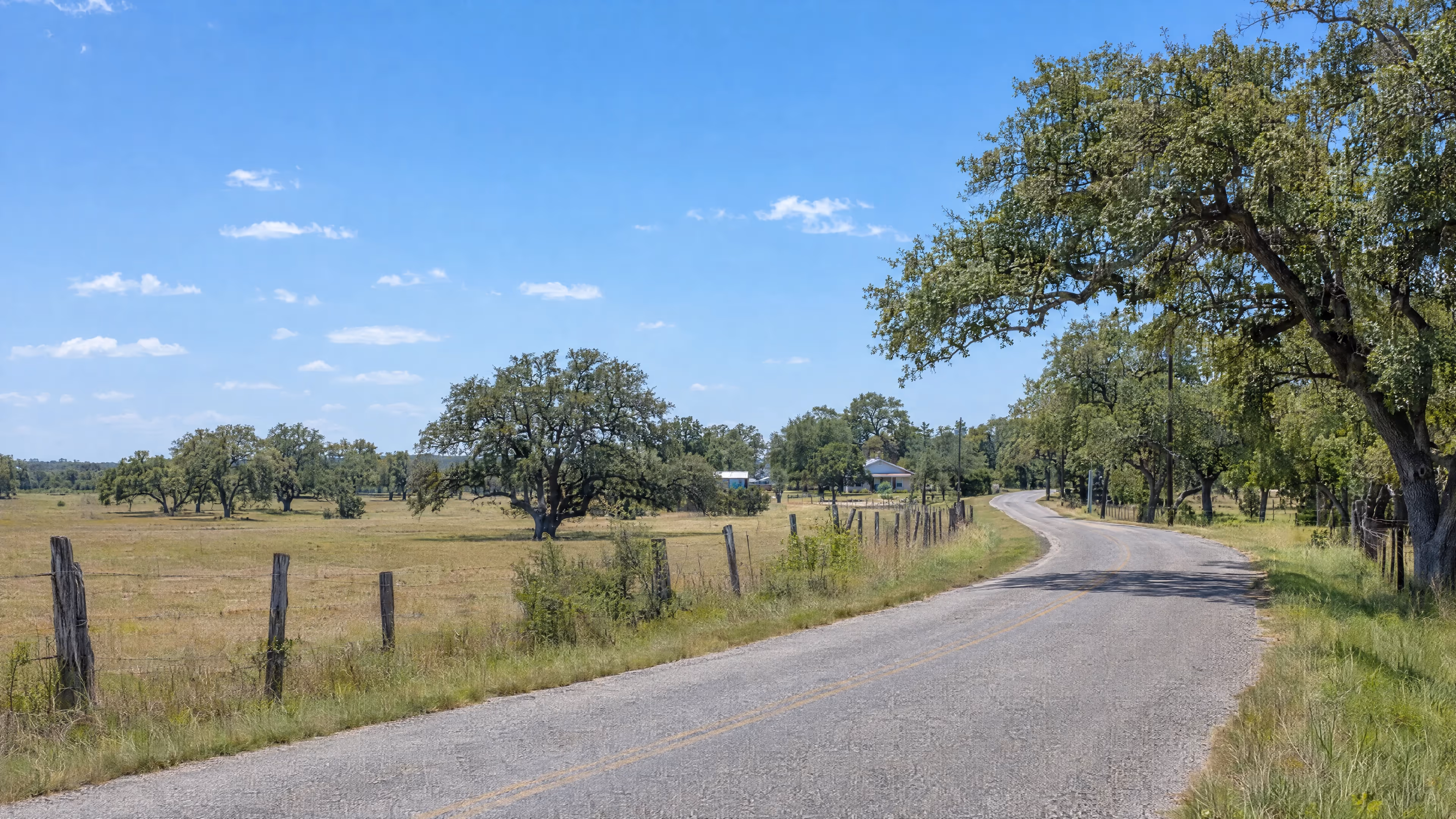 Generated landscape inspired by the Hallettsville area, with oak trees, pastureland, homes and a winding county road